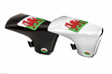 Load image into Gallery viewer, Asbri Blade, Mallet or Spider Putter Headcover - England Scotland Wales Black or White.