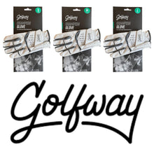 Load image into Gallery viewer, Golfway Champion Junior All Weather Golf Glove. Small, Medium or Large.
